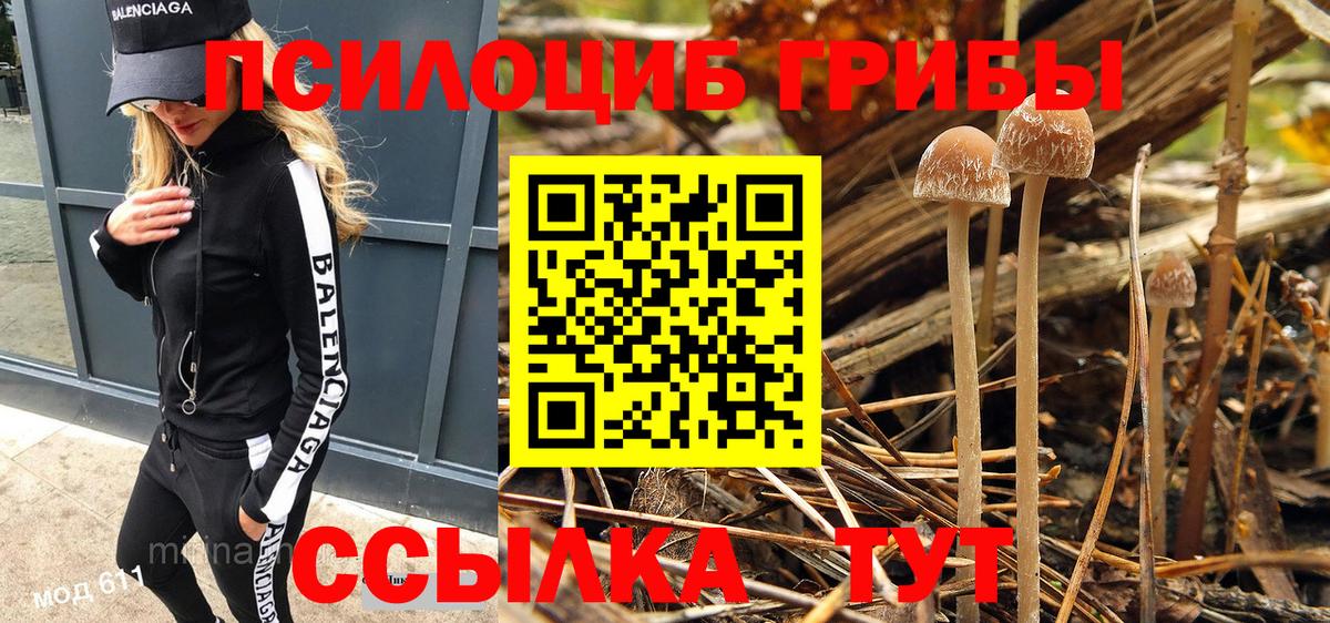 Серов  Галлюциногенные грибы мухоморы  Вход с VPN  Псилоцибиновые грибы ЛСД 