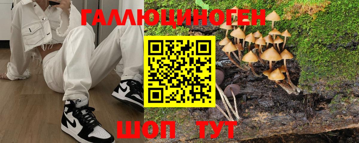 Галлюциногенные грибы мухоморы Серов